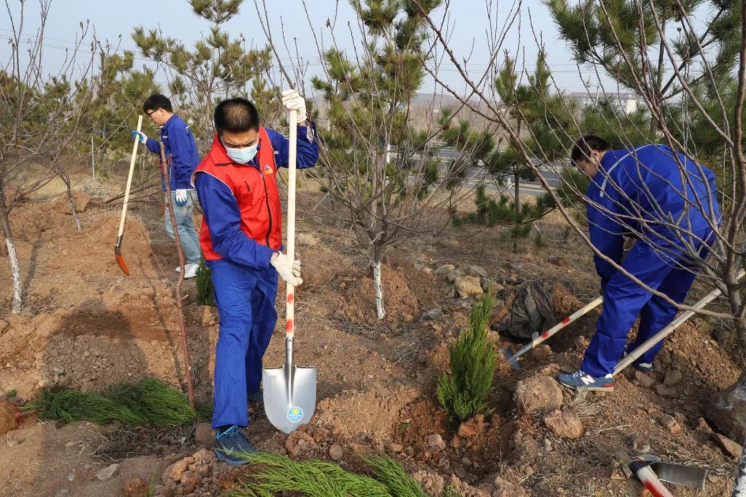 綠化重山|公司組織員工參加植樹(shù)活動(dòng)