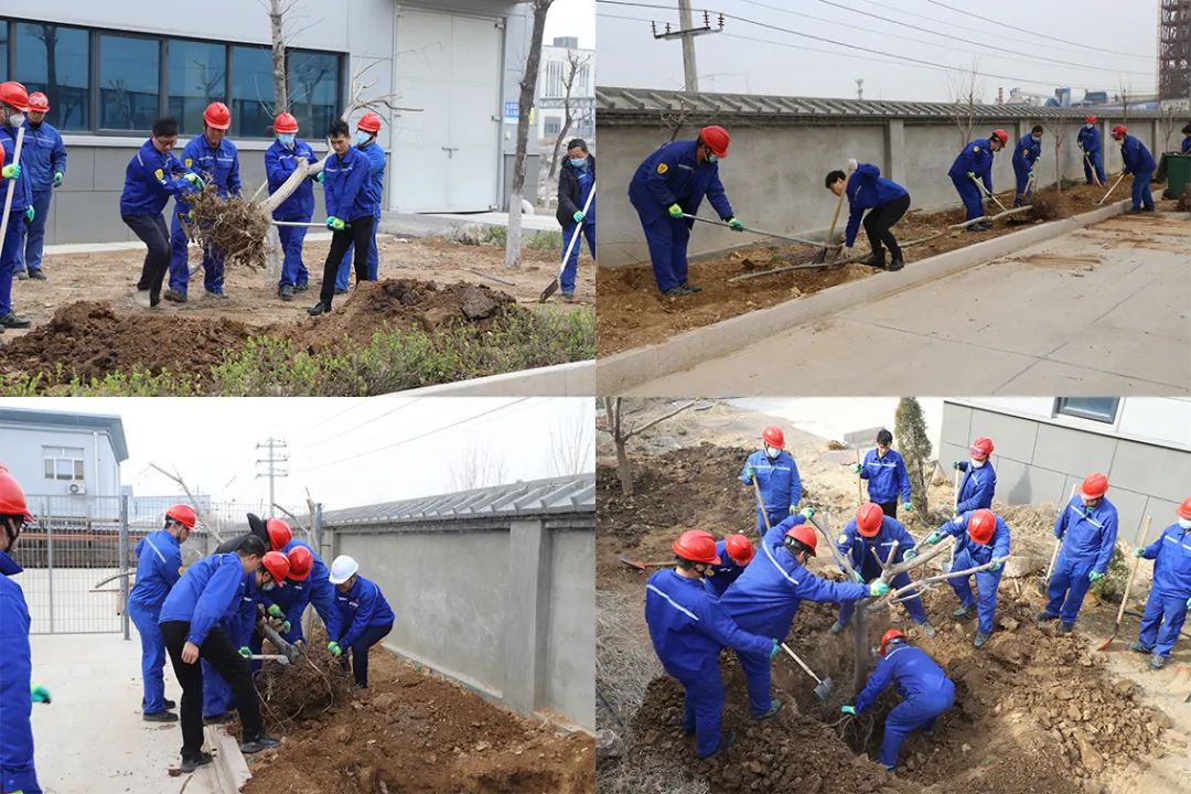 綠化重山丨公司組織開展植樹節植樹活動