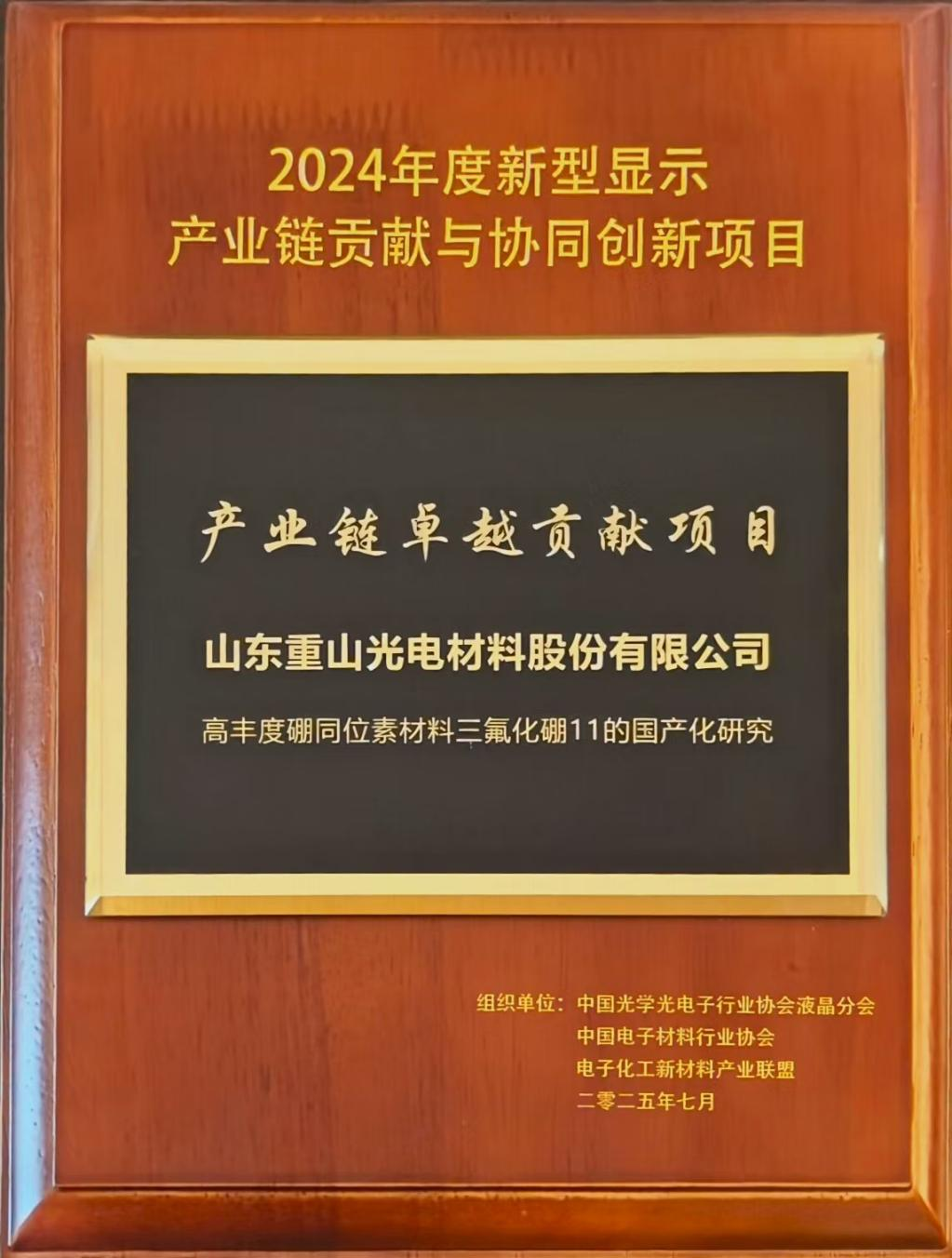 2024年度新型顯示產業鏈卓越貢獻與協同創新獎